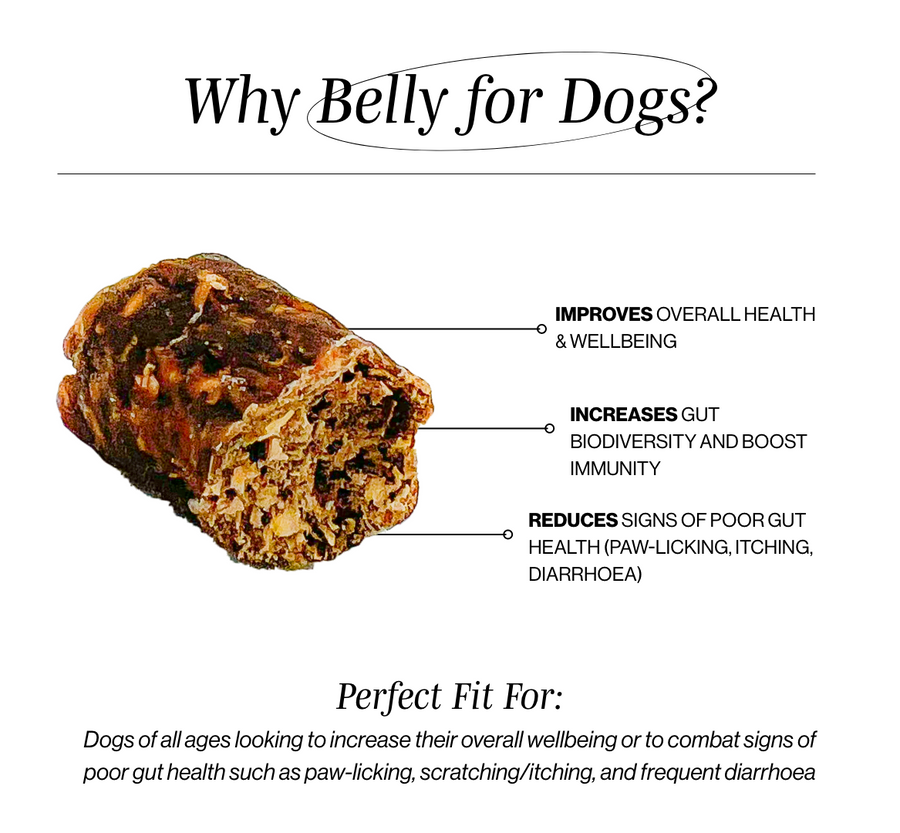 Belly for Dogs