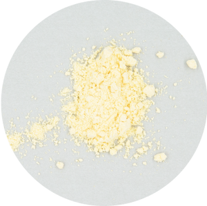 Lactobacillus acidophilus