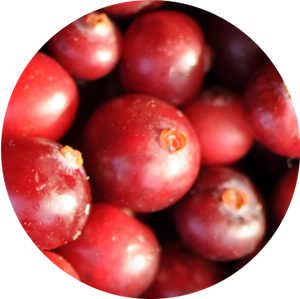 Cranberry